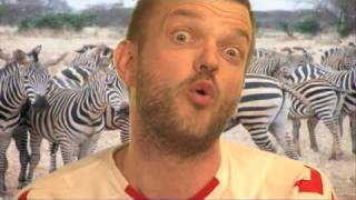 Kvartfinalen (den realistiske VM sang 2010)