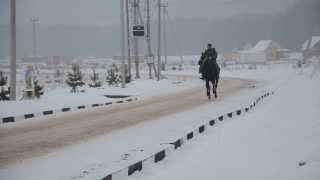 Прогулка в Можайских Садах 09.02.2014