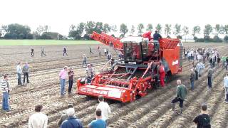 Dewulf potato harvesting