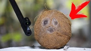 СМОЖЕТ ЛИ КОКОС ОСТАНОВИТЬ ЭКСПАНСИВНУЮ ПУЛЮ ?!