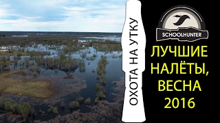 Охота на утку. Лучшие налеты. Весна 2016