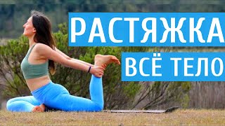 Растяжка на все тело 20 мин | chilelavida