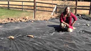 Easy Garden Bed Prep with Marjory