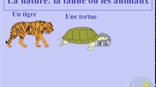 L'environnement et la pollution