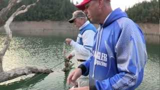 Shasta Lake Spoon Bass