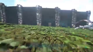 Ark raid alpha tribe