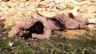 СИРИЯ Битва за ТЭС  В котле 800 террористов ИГИЛ  SYRIA Battle for Aleppo TPP