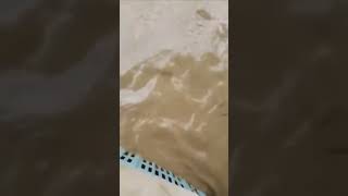 Unbelievable footage in Japan. natural disasters caught on camera. Mother Nature Angry