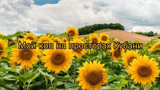 Мой коп на просторах Кубани.