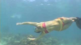 Ilaria Molinari, Freediving with dolphins