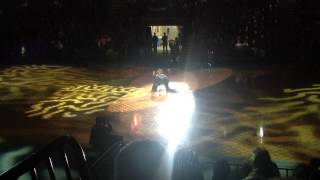 Gleb Savchenko and Elena Samodanova ShowDance