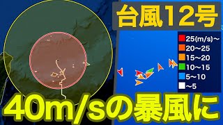 【台風12号】夜になり吹き返しさらに強まる 石垣島など40m/sの暴風