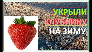 ОПАВШИЕ ЛИСТЬЯ мы не сжигаем а используем