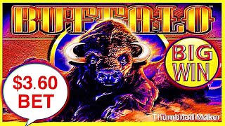 ✨ BIG WIN ✨ BUFFALO GOLD MULTIPLE RETRIGGER MAX BET SLOT MACHINE
