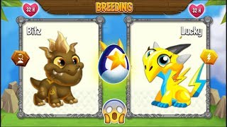 NEW BREEDING: Terra Dragon & Electric Dragon | DRAGON CITY ?