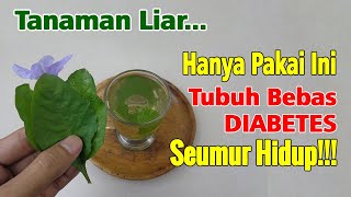 JIKA TAHU KEGUNAAN BUNGA INI, BISA LAKU MAHAL DI MASA DEPAN