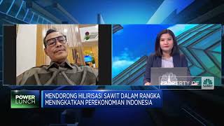 Urgensi Hilirisasi Sawit Bagi Perekonomin Indonesia
