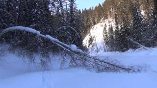 Охота тайга. Hunting taiga.