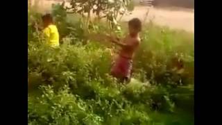 Perang sinobi