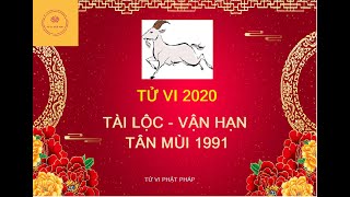 Tử Vi năm 2020 - Tài Lộc Vận Hạn tuổi Tân Mùi 1991 - Tử Vi Phật Pháp