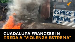 #Guadalupa francese in preda a "violenza estrema"