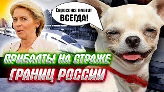 ПРИБАЛТИЙСКАЯ ЖАДНОСТЬ на страже границ РОССИИ (пособие "Как доить ЕС не привлекая внимания США")