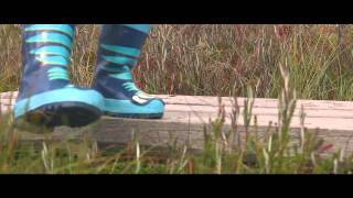 Mine Rappa / In the Swamp