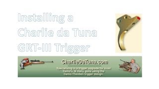 Stoeger X20 - installing a Charlie da Tuna GRTIII trigger