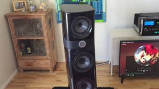 McIntosh MA8000 + Focal Sopra No 2 playing together