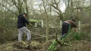 Dead Hedge building at Hookheath with Priory School