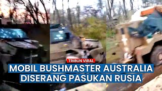 Kendaraan Tempur Bantuan Australia Bushmaster Rusak Parah Usai Digempur Habis-habisan Rusia