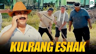 Qalpoq - Kulrang eshak