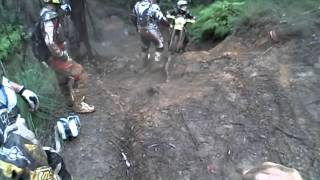 Lunatics Crash Day