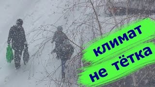 Это весна? Невероятные скачки климата. Погода в Сибири