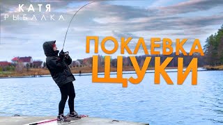 ПОКЛЕВКА ЩУКИ на спиннинг! Как клюёт ЩУКА?