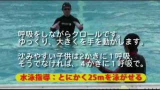 クロール25ｍを短期間で泳がせる～小学校水泳指導