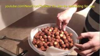 cocotut donut timbits balls recipe