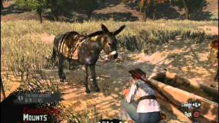 GLITCH TO OUTFITTER IN RED DEAD REDEMPTION
