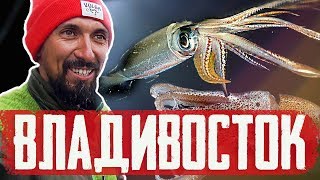 Ловля КАЛЬМАРОВ во Владивостоке! СТАРБЛОГ