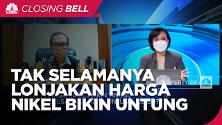Bos PURE: Tak Selamanya Lonjakan Harga Nikel Menguntungkan