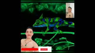BODY PAINTING YANG DALAM BENTUK ANIMAL