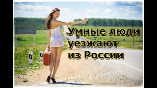 Почему в России гораздо больше умных людей чем в европе