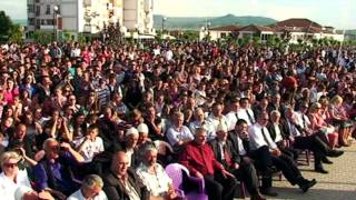Dita e çlirimit Drenas 2011