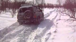LAND CRUISER 80 сука мощный