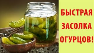 ЗАСОЛКА ОГУРЦОВ холодным способом ЗА 5 МИНУТ! Как засолить огурцы на зиму? Рецепт засолки огурцов.