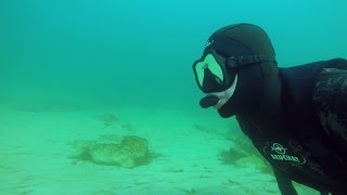 ЧЕРНОЕ МОРЕ 2018. Подводный мир и его обитатели. Подводная съемка. Лучшее утро.