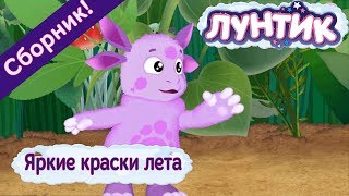 Лунтик ? Яркие краски лета ☀️Сборник мультфильмов