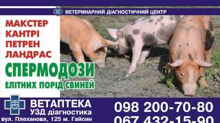 Сім’я петрен, (098)200-70-80, (098)151-70-80, (067)432-15-90, (04334)2-23-13