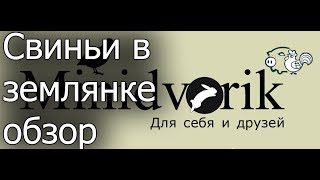 Свиньи в землянке
