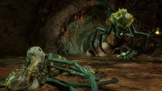 Mortal Kombat 11 - Total Disrespect (D'Vorah)